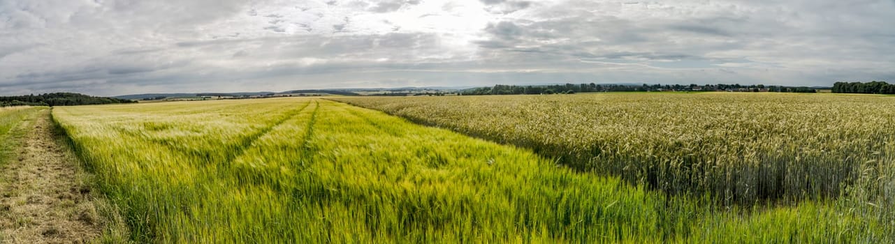 Panorama from a wheat field in Germany with clouds in the sky