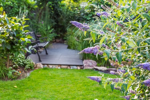 Landscape view of beautiful garden with freshly mowed lawn and flowerbed. Soft focus on foreground plants.