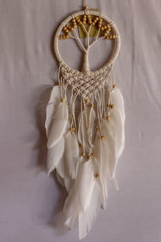 White dreamcatcher - Indian amulet that protects the sleeper from evil spirits and diseases.. The tree - symbol of life. White background.