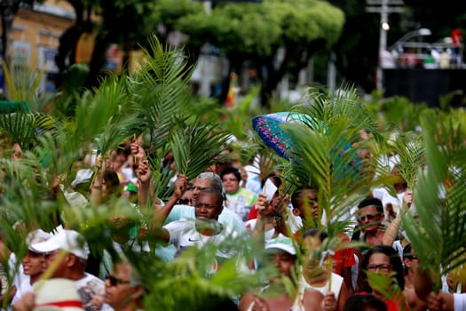 salvador, bahia / brazil - march 29, 2015: Catholics are seen carrying palm branches during Ramos procession in the city of Salvador. The Christian feast, celebrated on the Sunday before Easter, symbolizes the entry of Jesus Christ into Jerusalem..