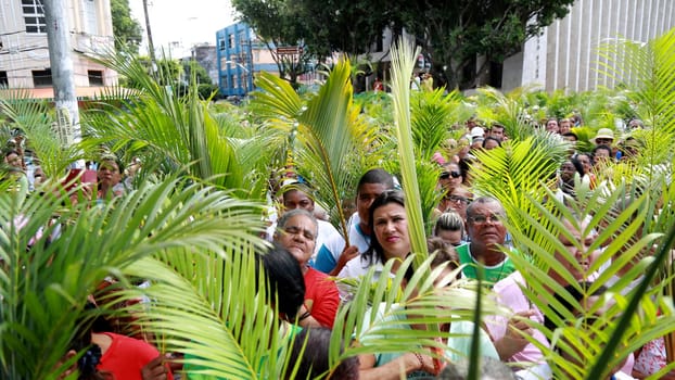 salvador, bahia / brazil - march 29, 2015: Catholics are seen carrying palm branches during Ramos procession in the city of Salvador. The Christian feast, celebrated on the Sunday before Easter, symbolizes the entry of Jesus Christ into Jerusalem..