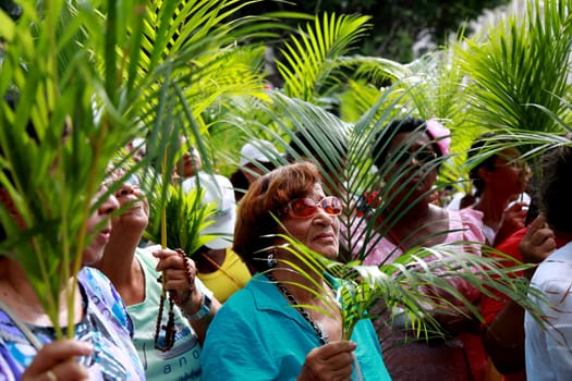 salvador, bahia / brazil - march 29, 2015: Catholics are seen carrying palm branches during Ramos procession in the city of Salvador. The Christian feast, celebrated on the Sunday before Easter, symbolizes the entry of Jesus Christ into Jerusalem..