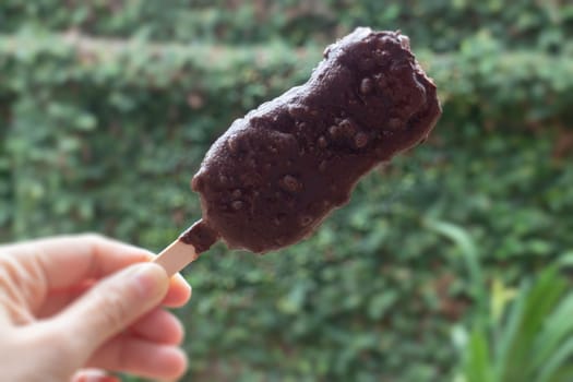 Ice cream covered with chocolate and nuts, stock photo