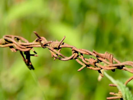 old rusty barbed wire with green blurred background