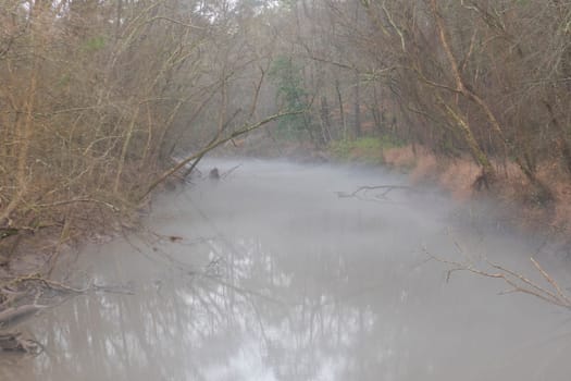 Fog and Mist on Turkey Creek in Big Thicket National Preserve in Texas