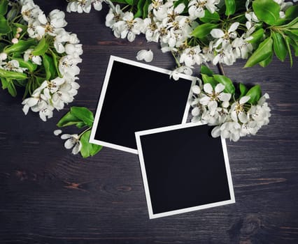 Two blank square photo frames with spring flowers on wooden background. Top view. Flat lay.