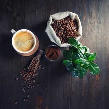 Delicious fresh coffee. Coffee cup, coffee beans, plant and ground powder on vintage wood table background. Flat lay.