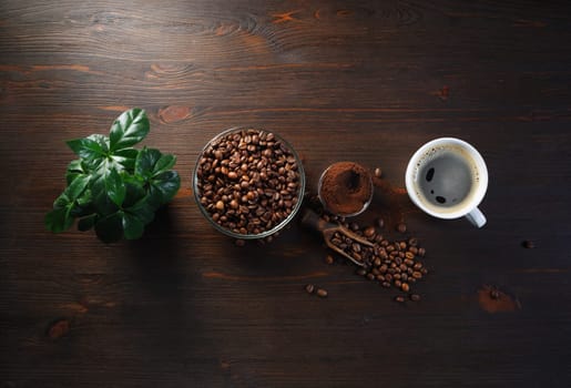 Brewing coffee background. Coffee cup, roasted coffee beans, plant and ground powder on wooden background. Flat lay.
