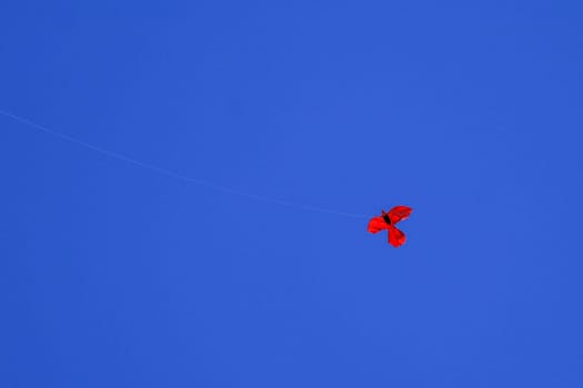 Kite on background of dark blue sky. Red kite on dark blue sky. Space for your text.