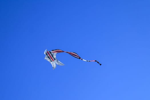 kite long tailfly on blue sky. The colorful kite on the blue sky without clouds. Space for text.