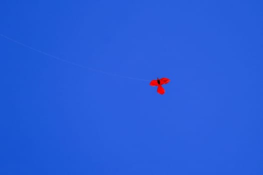 Kite on background of dark blue sky. Red kite on dark blue sky. Space for your text.