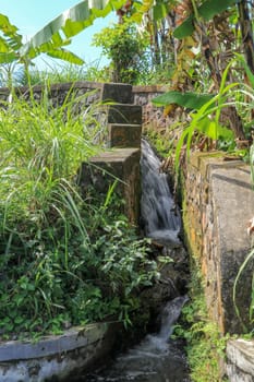 Water drainage for irrigation of rice fields.