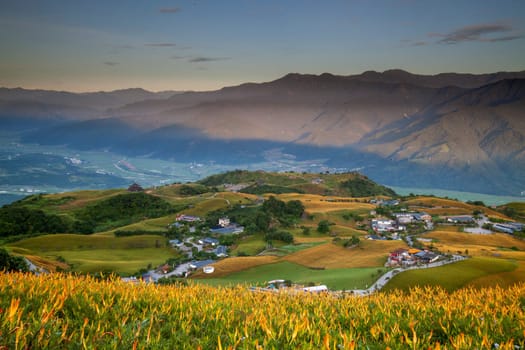 The Aerial view of the famous and beautiful Daylily flower at sixty Stone Mountain in Hualien Taiwan