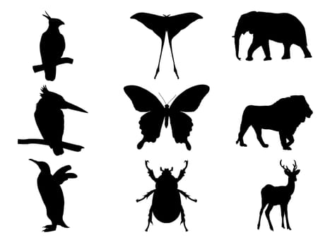 Wild animals black silhouettes, Bird,  insect and wildlife vector illustration isolated on white