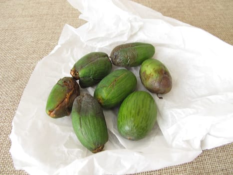 Fruits or seeds of the Japanese torreya, Torreya nucifera