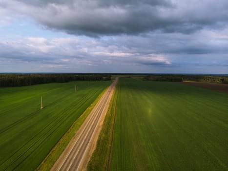 Top view of the road in summer evening. View from drone