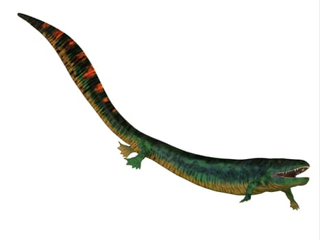Eogyrinus was an aquatic predatory tetrapod that lived in the Carboniferous Period of England.