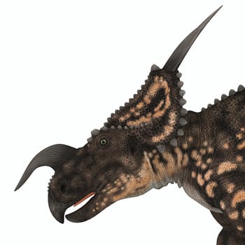 Einiosaurus was a herbivorous ceratopsian dinosaur that lived in the Cretaceous Age of Montana, North America.