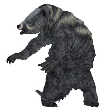 Eremotherium was one of the largest ground sloths that lived in North and South America in the Pleistocene Period.