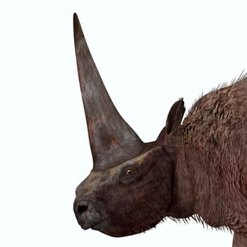 Elasmotherium is an extinct mammal that lived in the Pleistocene Period of Russia, Ukraine, and Moldova.