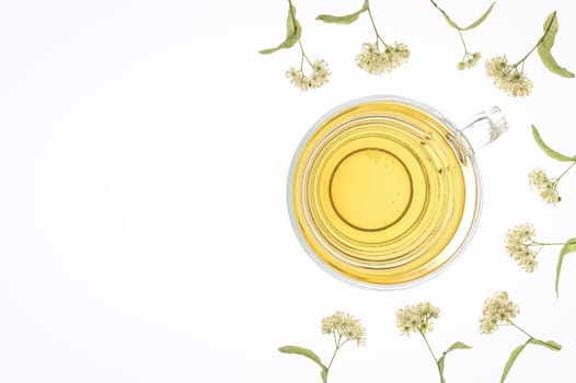 Glass of lime blossom tea with fresh blossoms. Flat layed and isolated on a white background, backlit on a light table. With much copy space.
