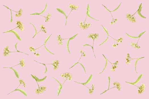 Carpet of lime blossoms wallpaper flat layed on a pink background.