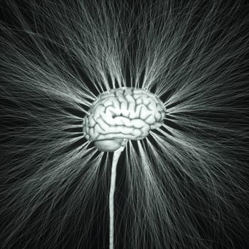 .Central nervous system. Brain and spinal cord with branch coming out away. Conceptual brain 3D illustration.