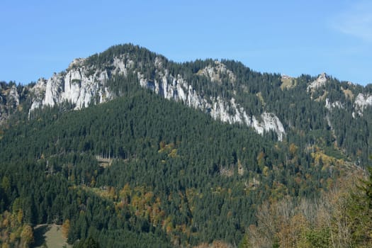 Alpine summits covered with snow, blue sky in the background .