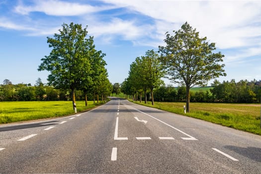 Country road with marking with trees in summer in Germany