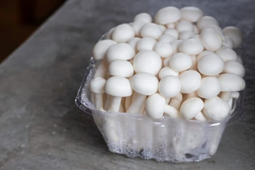 Raw shimeji mushroom for asian cuisine, stock photo