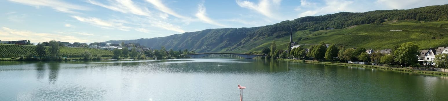 Panorama from River Moselle and wineyards in Germany