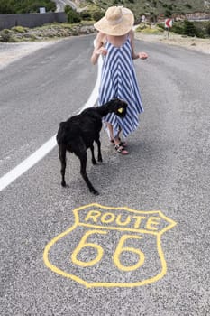 Young attractive female traveler wearing striped summer dress and straw hat standing on an endless straight empty road in the middle of nowhere on the Route 66 road and feeding black sheep.