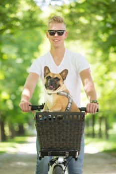 French bulldog dog enjoying riding in bicycle basket in city park.