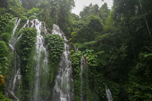 Beautiful scenic waterfall high in the mountains on Bali island. Water flows in many streams over the glass and between them grows lush tropical vegetation. Banyumala Amertha Waterfall, Indonesia.