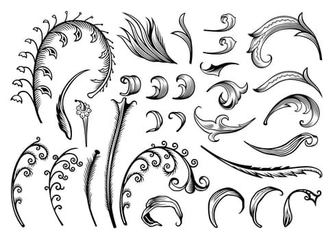 Floral hand drawn vector vintage engraved nature elements and objects set
