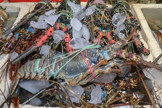 Fresh seafood for sale at Pasar Ikan Kedonganan in Jimbaran, Bali, Indonesia. Fresh lobsters selling fish in Kedonganan. Fresh lobsters on ice for sale on a seafood counter.