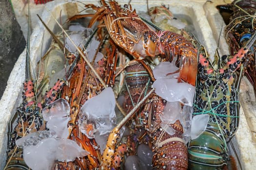 Fresh seafood for sale at Pasar Ikan Kedonganan in Jimbaran, Bali, Indonesia. Fresh lobsters selling fish in Kedonganan. Fresh lobsters on ice for sale on a seafood counter.
