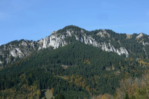 Alpine summits covered with snow, blue sky in the background .