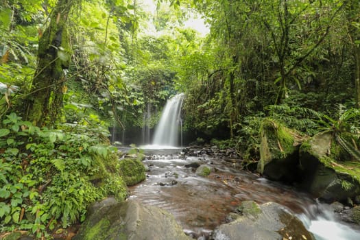 Yeh Ho Waterfall is located in the lush rice field-laden Penebel village in Tabanan. The stream of beautiful waterfall in the jungle in Jatiluwih area, Bali, Indonesia.