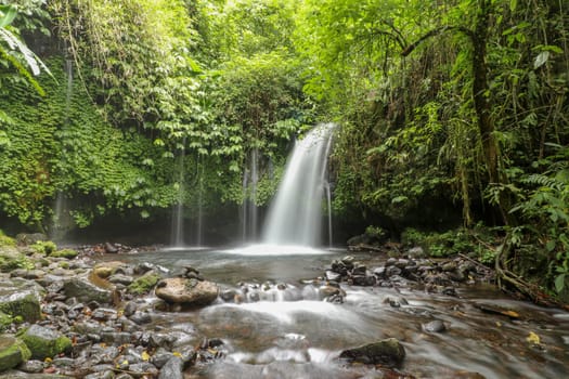 Yeh Ho Waterfall is located in the lush rice field-laden Penebel village in Tabanan. The stream of beautiful waterfall in the jungle in Jatiluwih area, Bali, Indonesia.