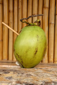 Fresh young coconut with bamboo straw on table with massive wooden board. Healthy natural refreshment full of energy and vitamins. In the background wall of bamboo trunks. Nice tropical concept.