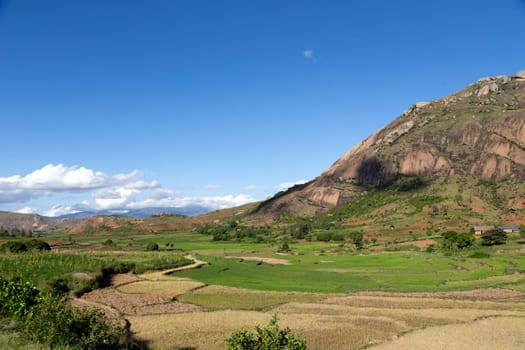 A landscape shot of the island of Madagascar