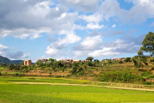 Homes of locals on the island of Madagascar