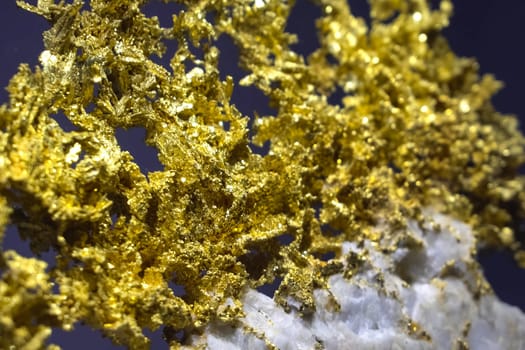 Golden nuggets in the museum. Gold in nuggets.