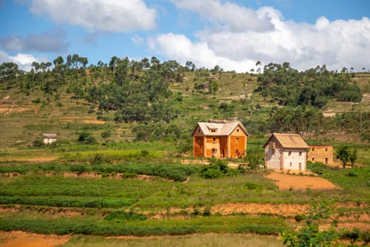 Homes of locals on the island of Madagascar