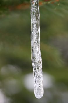 For an icicle frozen water, green background