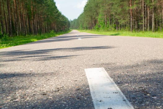 Summer country road with trees beside concept, landscape in Belarus