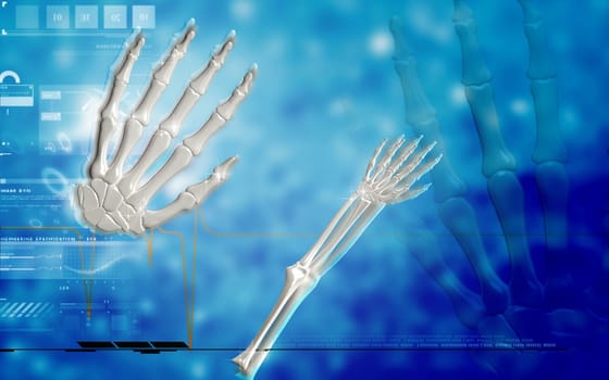 Digital illustration of hand bone in colour background