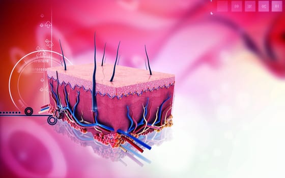 Digital illustration of Skin in colour background