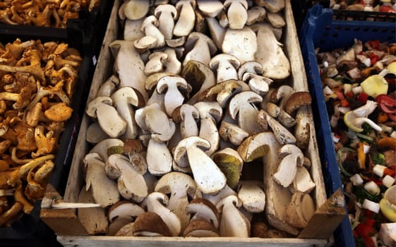 the market in the old town of Freiburg im Breisgau in the Blackforest in the south of Germany in Europe.